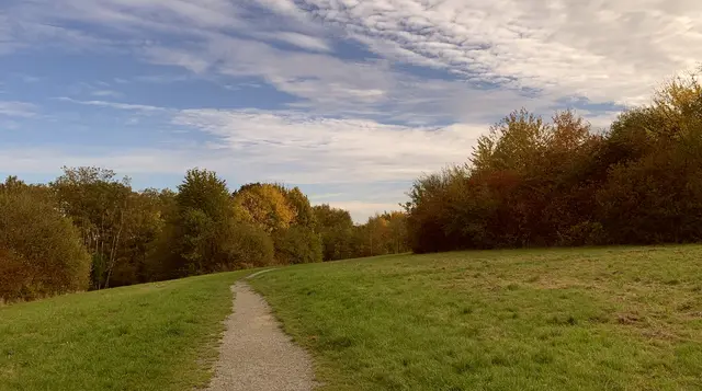 Aus der Serie: Vom ehemaligen  „Gelände des Sole- und Freizeitbades“ zur „Massener Halde“ | Foto: © Jürgen Thoms 
