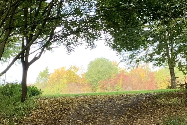 Aus der Serie: Vom ehemaligen  „Gelände des Sole- und Freizeitbades“ zur „Massener Halde“ | Foto: © Jürgen Thoms 