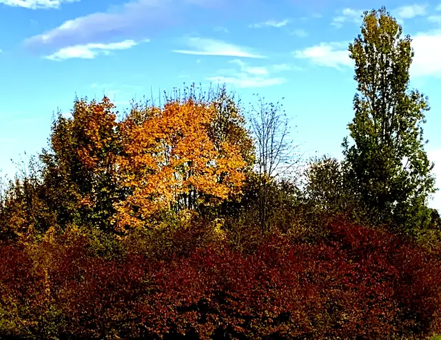 Aus der Serie: Vom ehemaligen  „Gelände des Sole- und Freizeitbades“ zur „Massener Halde“ | Foto: © Jürgen Thoms - 