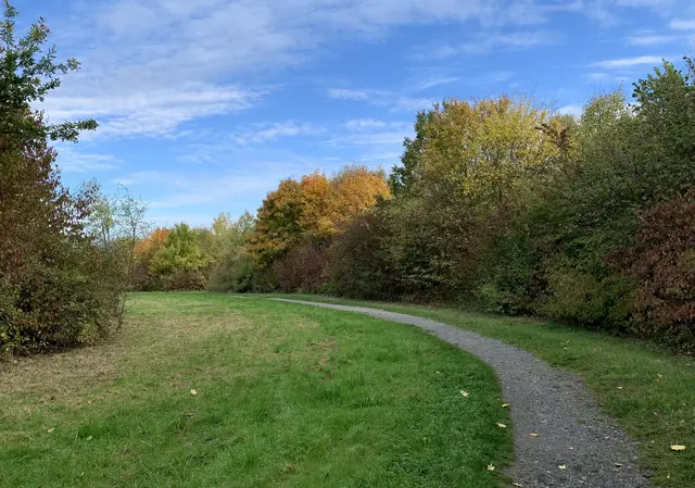 Aus der Serie: Vom ehemaligen  „Gelände des Sole- und Freizeitbades“ zur „Massener Halde“ | Foto: © Jürgen Thoms 