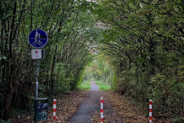 Aus der Serie: Vom ehemaligen  „Gelände des Sole- und Freizeitbades“ zur „Massener Halde“ | Foto: © Jürgen Thoms 