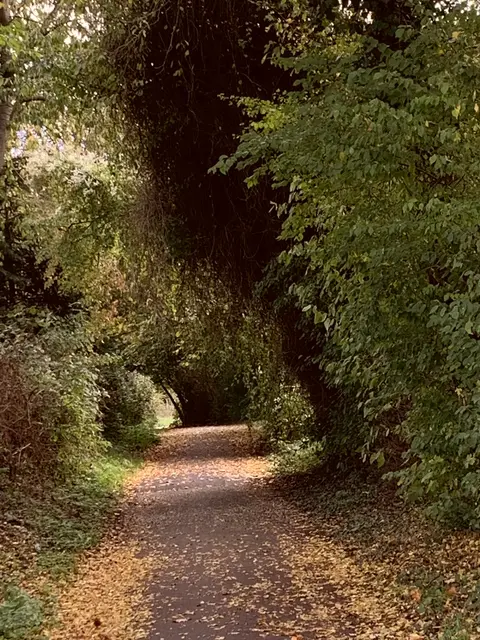 Aus der Serie: Vom ehemaligen  „Gelände des Sole- und Freizeitbades“ zur „Massener Halde“ | Foto: © Jürgen Thoms 