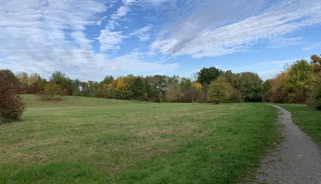 Aus der Serie: Vom ehemaligen  „Gelände des Sole- und Freizeitbades“ zur „Massener Halde“ | Foto: © Jürgen Thoms 