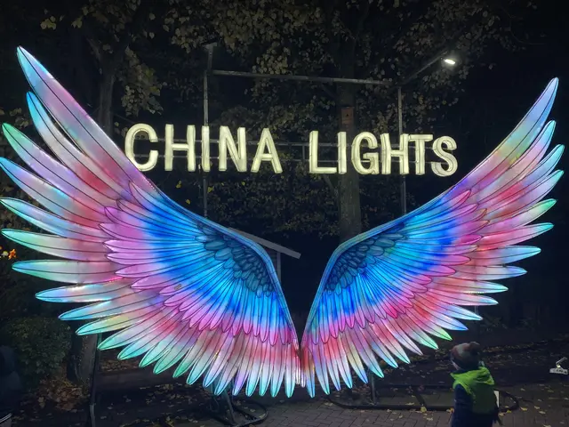 Anziehungspunkt | Foto: umbehaue