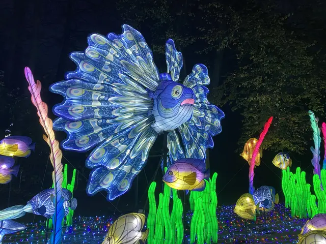 unter Wasser | Foto: umbehaue