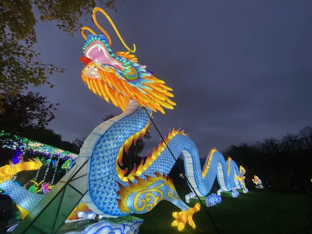 Drache | Foto: umbehaue