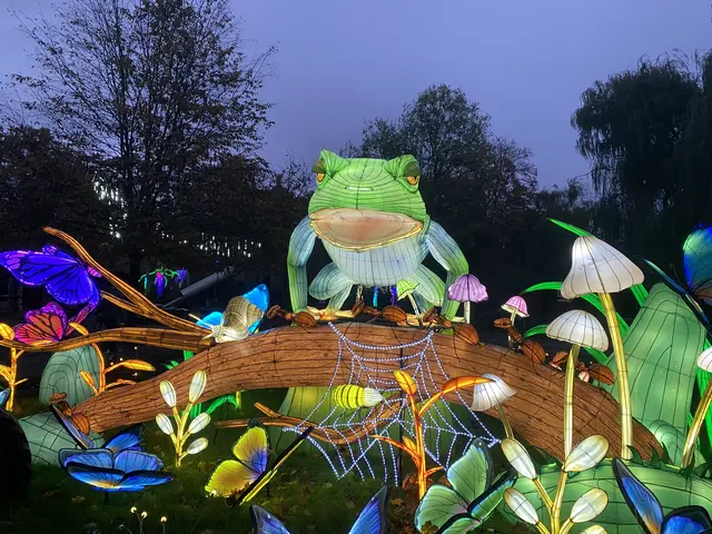 Frosch | Foto: umbehaue