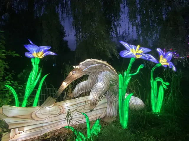 Armeisenbär | Foto: umbehaue