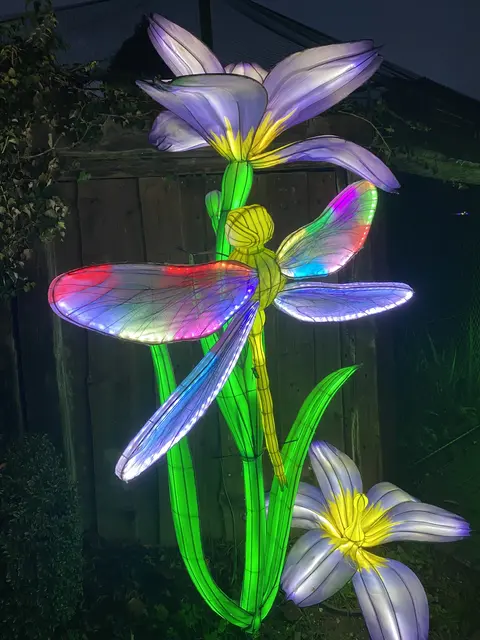 Libelle  | Foto: Umbehaue