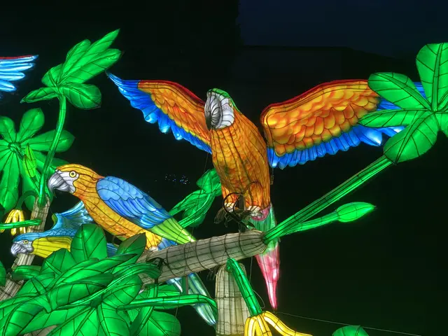 Ara | Foto: umbehaue