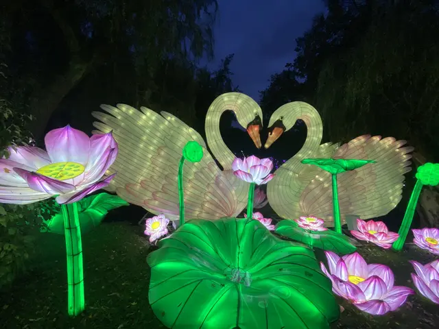 in Love | Foto: Umbehaue