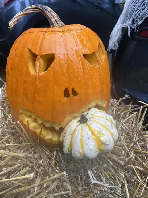 Fresse dich | Foto: umbehaue