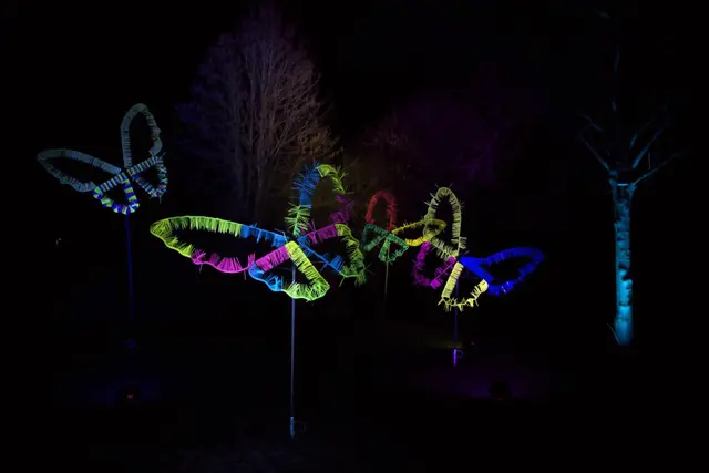 Fotografische Eindrücke ( 08.02.23) von der beleuchteten Gruga.
LK-Foto: Norbert Rittmann