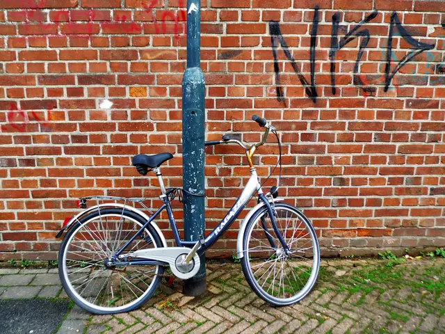 Herrenloses Fahrrad angelehnt an ebenso herrenlos wirkenden Laternenmast in Wesel. | Foto: Siegmund Walter, 30.10.2025, 10:46 Uhr