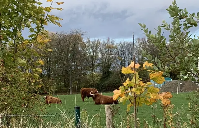 Aus der Serie: Vom ehemaligen  „Gelände des Sole- und Freizeitbades“ zur „Massener Halde“ | Foto: © Jürgen Thoms 