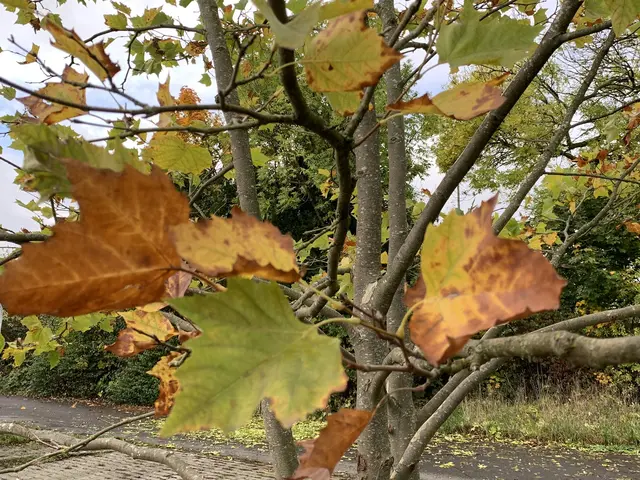 Aus der Serie: Vom ehemaligen  „Gelände des Sole- und Freizeitbades“ zur „Massener Halde“ | Foto: © Jürgen Thoms 