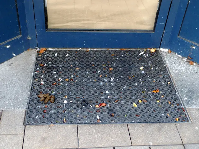 Übel ausschauender Eingangsbereich eines leerstehenden Geschäfts in der Innenstadt von Wesel, Hohe Straße.
Auf der Fußmatte sogar die Hinterlassenschaft eines Hundes oder Menschen.
Sachstand: 30.10.2025 | Foto: Siegmund Walter, 30.10.2025, 11:02 Uhr