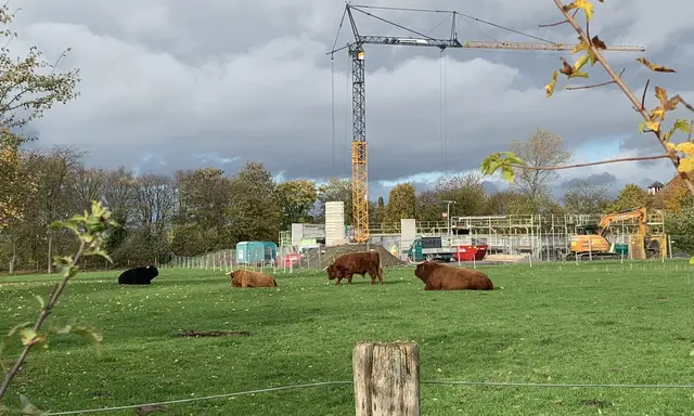 Aus der Serie: Vom ehemaligen  „Gelände des Sole- und Freizeitbades“ zur „Massener Halde“ | Foto: © Jürgen Thoms 