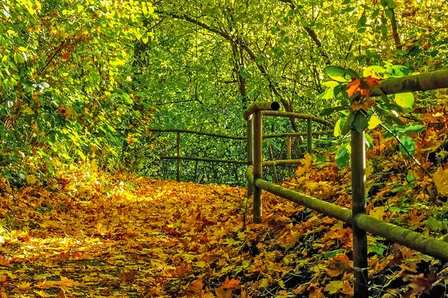 Aufgang vom Rüpingsweg auf die Marie-Juchacz-Straße