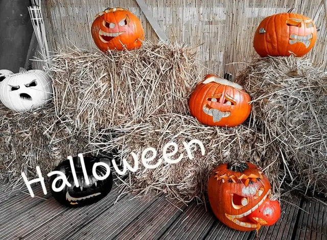 Bild Schepers Text Polizei Wesel/ Verlauf der Halloweennacht