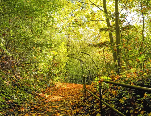 Aufgang vom Rüpingsweg auf die Marie-Juchacz-Straße
