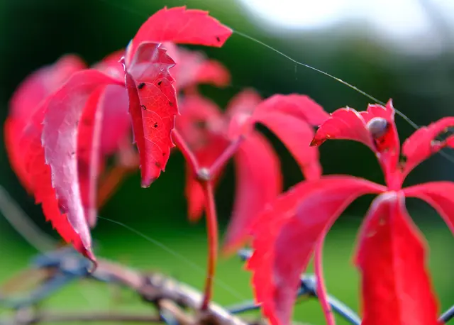 Der Tierwelt gefällt der Herbst, zu sehen am letzten Foto