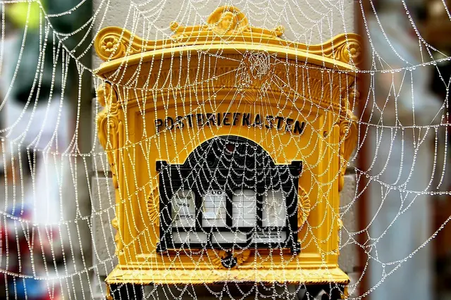 Foto Pixabay 2808314