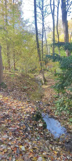 Foto: Melanie Patten