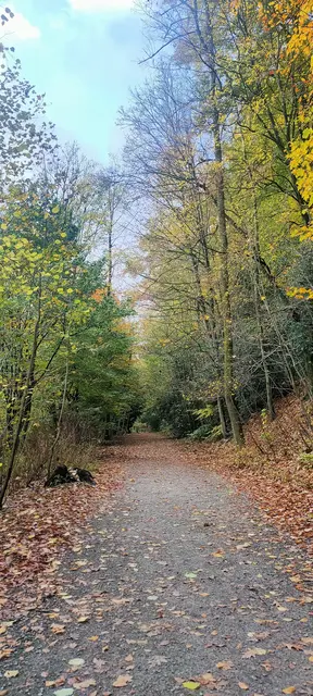 Foto: Melanie Patten