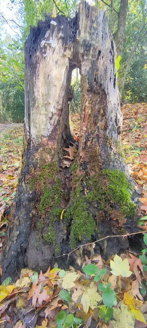 Foto: Melanie Patten