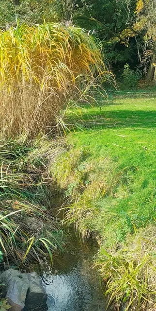 Foto: Melanie Patten