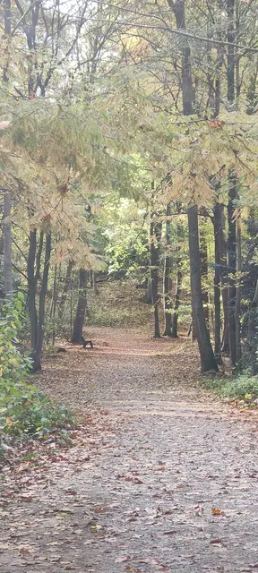 Foto: Melanie Patten