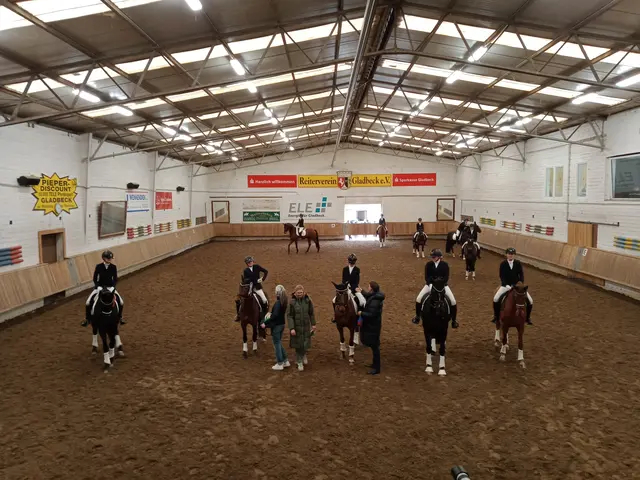 Bildquelle: Reiterverein Gladbeck, Dressur-Turnier Frühjahr 2025