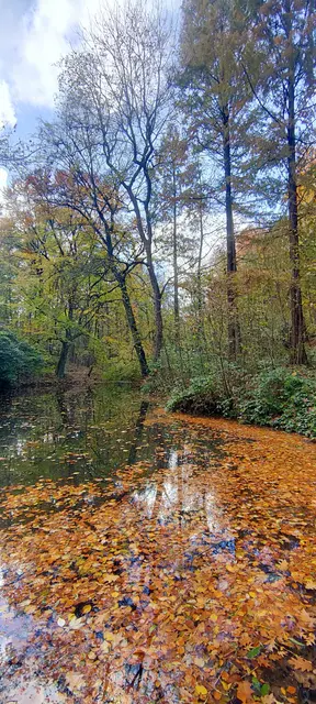 Foto: Melanie Patten