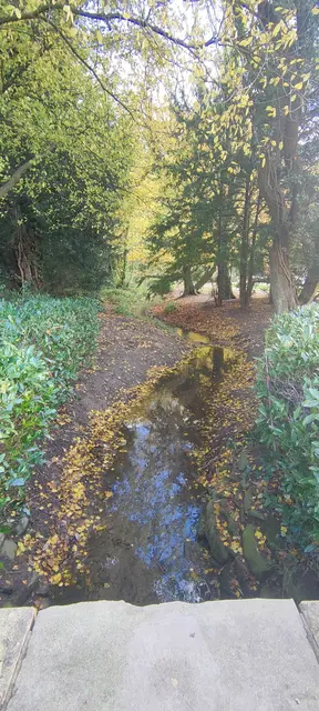 Foto: Melanie Patten