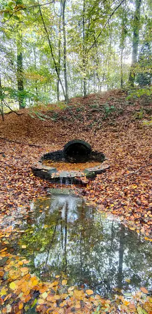 Foto: Melanie Patten