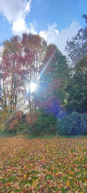 Foto: Melanie Patten