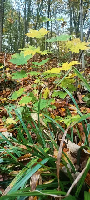 Foto: Melanie Patten