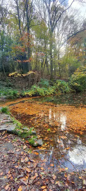 Foto: Melanie Patten