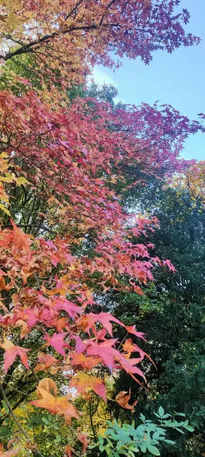 Foto: Melanie Patten