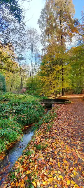 Foto: Melanie Patten