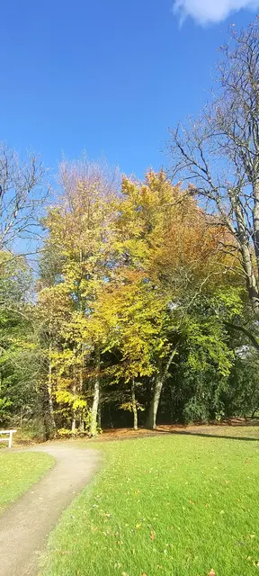 Foto: Melanie Patten