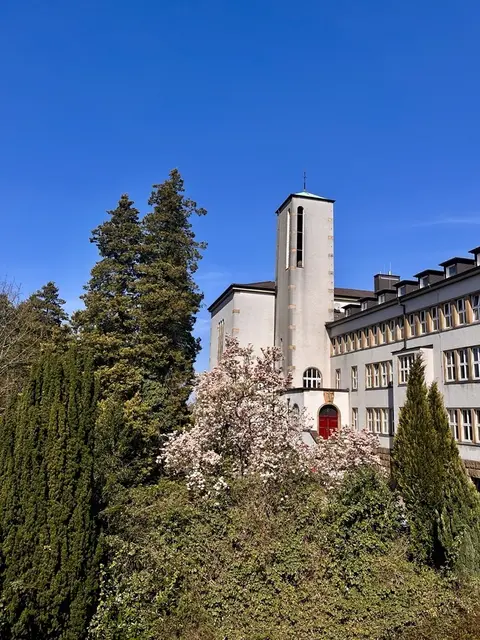 Die Walburgisschulen laden zu Informations- und Kennenlerntagen ein. Foto: Michaela Zimmerers