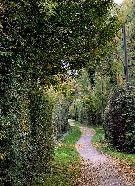 Aus der Serie: Vom ehemaligen  „Gelände des Sole- und Freizeitbades“ zur „Massener Halde“ | Foto: © Jürgen Thoms - 