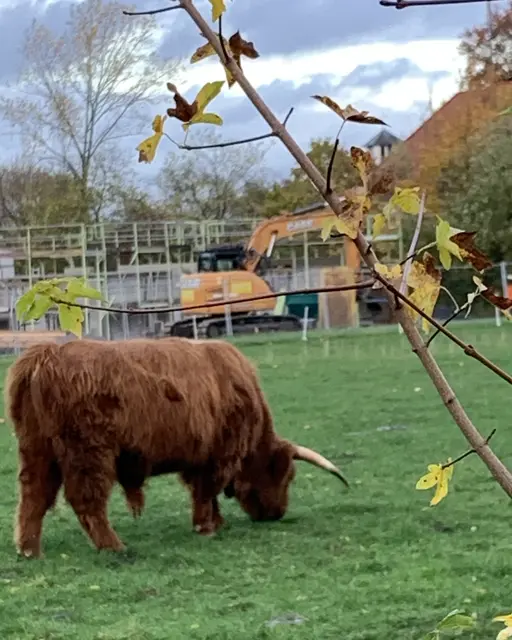 Foto: © Jürgen Thoms 