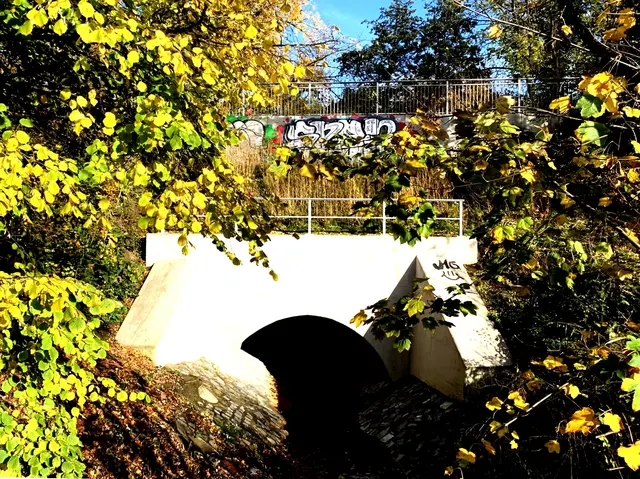 Aus der Serie: Vom ehemaligen  „Gelände des Sole- und Freizeitbades“ zur „Massener Halde“ | Foto: © Jürgen Thoms - 