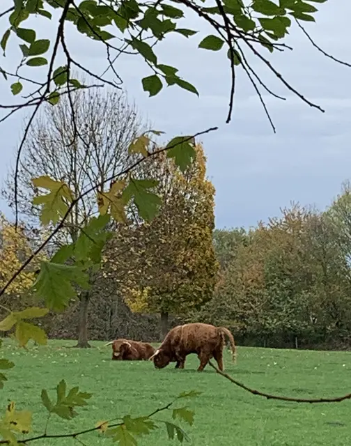 Aus der Serie: Vom ehemaligen  „Gelände des Sole- und Freizeitbades“ zur „Massener Halde“ | Foto: © Jürgen Thoms 