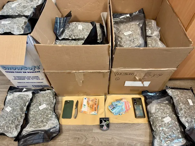 Verbotene Ladung: 31 Kilo Marihuana im Laderaum des Transporters | Foto: Polizei Mettmann