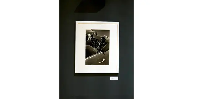 Titel: Fifties Graffiti von Fotograf Louis Stettner

Bild aus Artikel im Lokalkompass:“Fotografie. Astonish me! Fotografie aus der Sammlung Koetzle – neue Ausstellung in der Städtischen Galerie Iserlohn.“