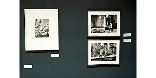 Bild 6 aus Ausstellung „Astonish me! Fotografie aus der Sammlung Koetzle in der Städtischen Galerie Iserlohn

Bild aus Artikel im Lokalkompass:“Fotografie. Astonish me! Fotografie aus der Sammlung Koetzle – neue Ausstellung in der Städtischen Galerie Iserlohn.“